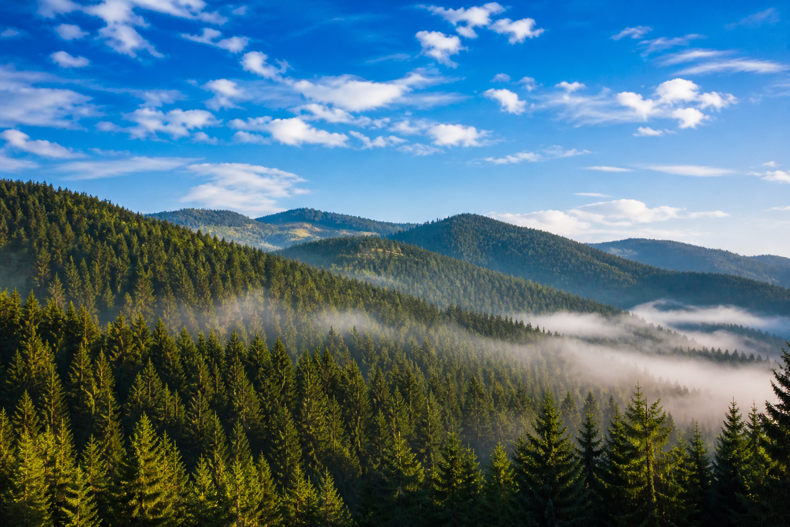 Schwarzwald Landschaft